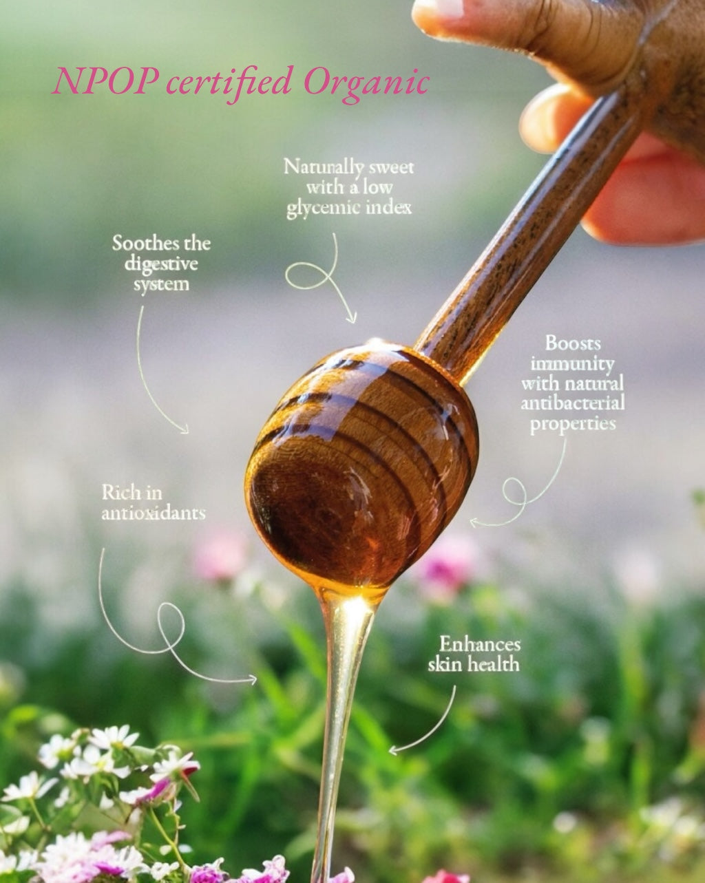 Organic Acacia Honey