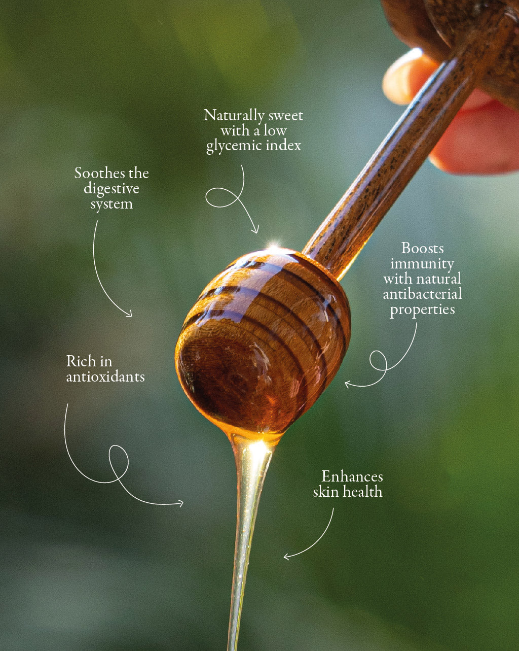 GreenKarmas Bestseller Honey Box