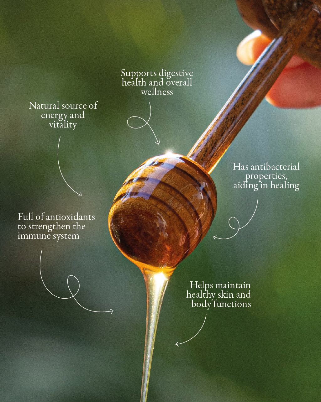 Organic Honey - Honeycomb Bottle