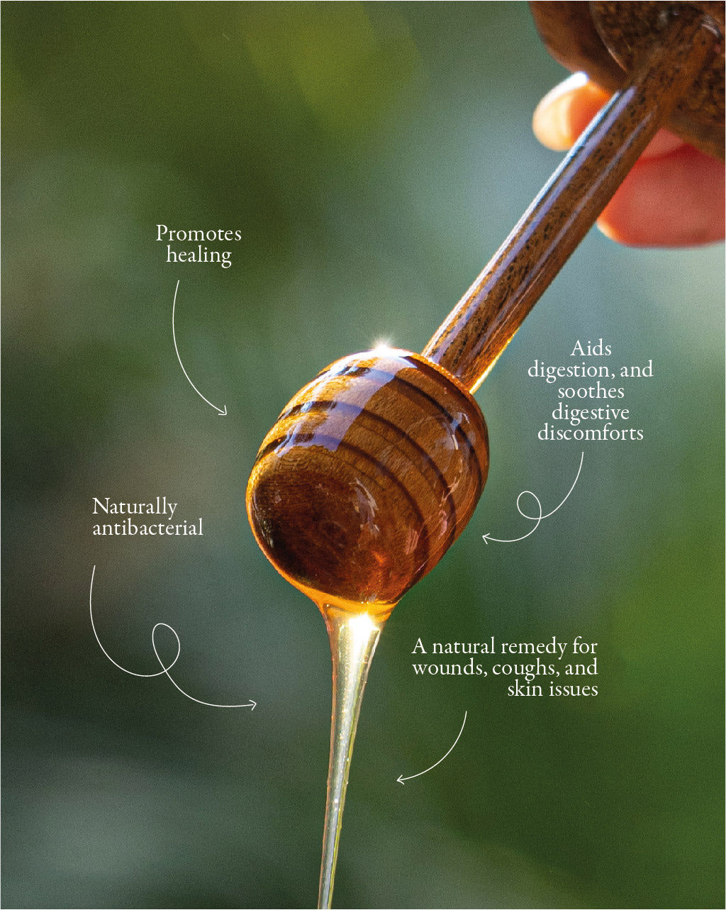 Sidr Honey